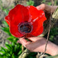 🌼Handgefertigter Metall Blumen-Gartenstecker 🐦 Vogeltränke & Insekten-Trinkstelle, Wetterfest Gartendekoration für Beet, Wege & Außenbereich, Einzigartiges Deko Geschenk