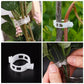 🌱🍅Pflanzenclips für Rankpflanzen – Tomatenhalter & Pflanzenbinder aus Kunststoff