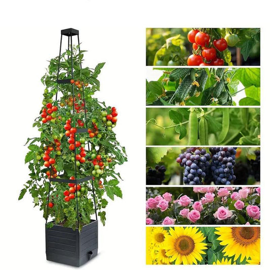 🔥Letzter Tag: 60% Rabatt! ⏰🍅🪴Selbstbewässerndes Tomaten-Pflanzset mit Kletterpflanzenhalter